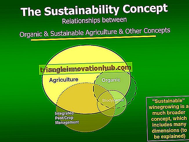 Tarım ve Sanayi İlişkisi - tarım