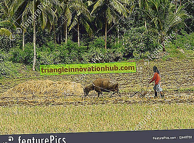Agricultura de subsistencia primitiva: 2 tipos principales - agricultura