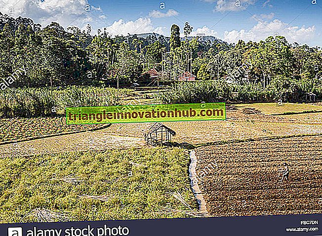 Intensive Subsistenzwirtschaft - Landwirtschaft