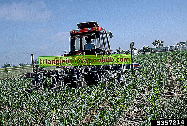الأرصاد الجوية الزراعية: التعريف والاستخدامات - الأرصاد الجوية الزراعية