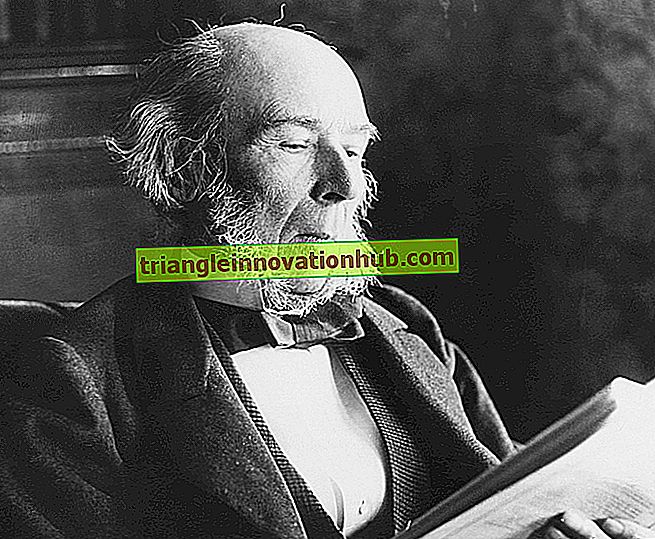 Biografie von Herbert Spencer und seinen Werken - Biografien