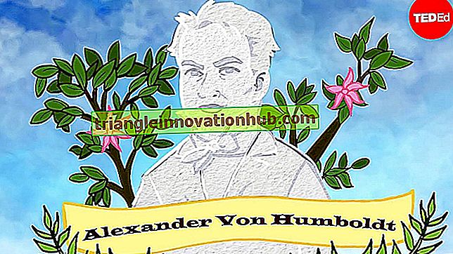 Alexander Von Humboldt: Biographie de Alexander Von Humboldt