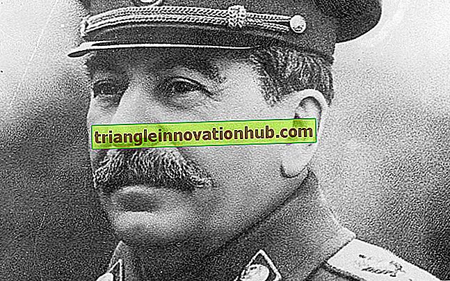 Joseph Stalin: Lea la biografía de Joseph Stalin - biografías