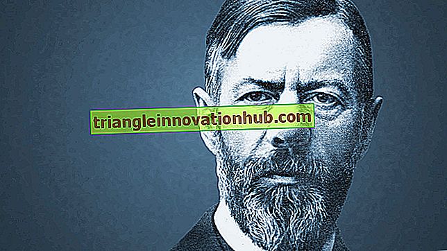 Breve biografía de Max Weber y sus obras. - biografías