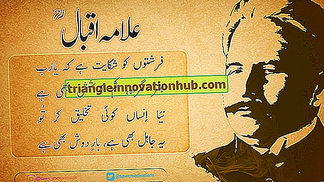 Lea la biografía de Muhammad Iqbal - biografías