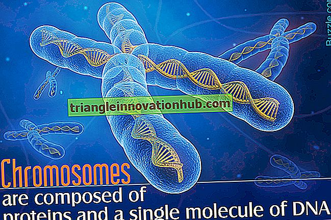 Kromosomer: Struktur, Funktioner och andra detaljer om kromosomer
