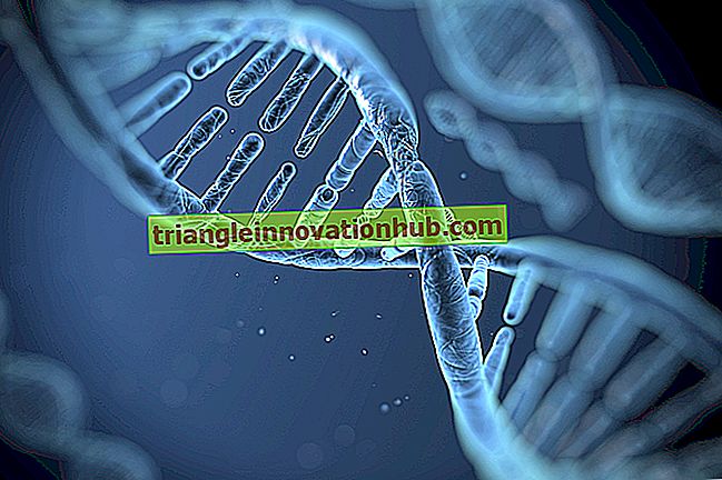 Sự kế thừa: Sự song song giữa các gen và nhiễm sắc thể trong sự kế thừa - sinh học