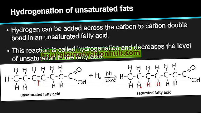 Ácidos grasos: ácidos grasos saturados e insaturados - biología