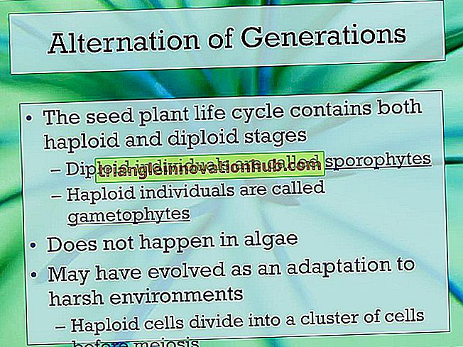 Alternance de générations dans le cycle de vie d'un bryophyte - la biologie