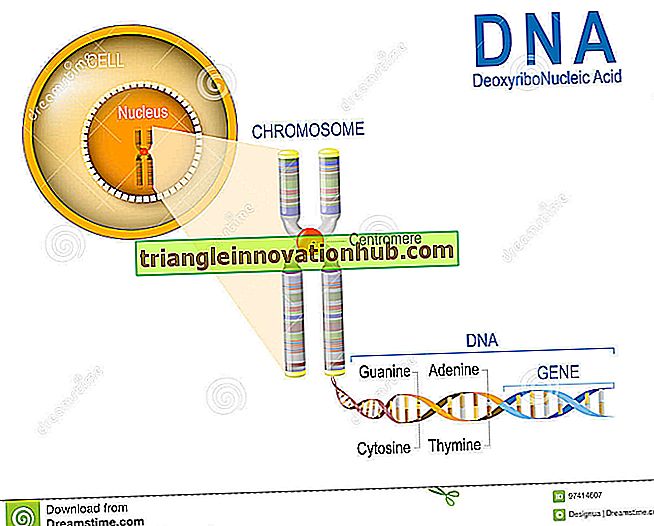 9 propriétés les plus importantes du code génétique - la biologie