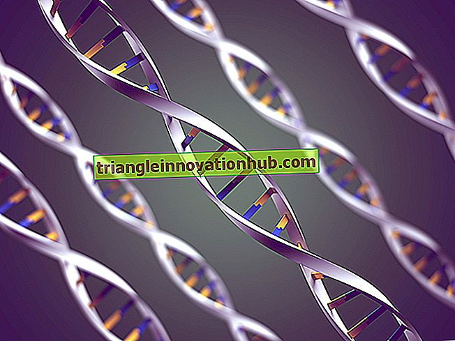 Gener: grunnleggende biologisk enhet