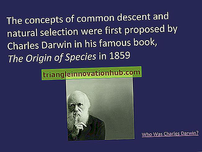 Ekologinė evoliucija: kaip pasiūlė Charles Darwin - biologija
