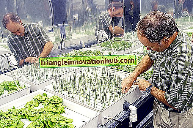 Pre-cultivo de preparaciones químicas para aumentar la productividad de las plantas