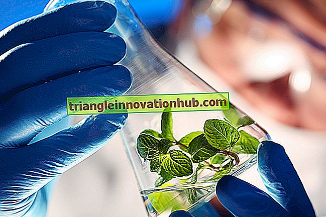 أعلى 9 تطبيقات التكنولوجيا الحيوية - التكنولوجيا الحيوية