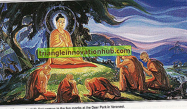 Vida y enseñanzas del Señor Buda - budismo