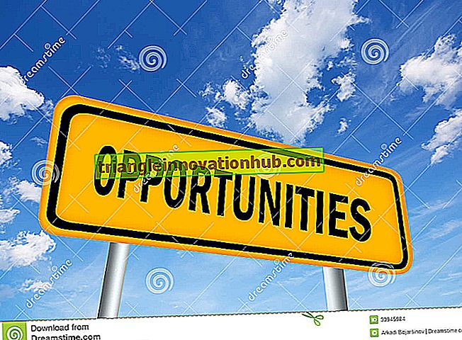 Identificação de Oportunidade de Negócio: Geração de Idéia e Oportunidade - o negócio