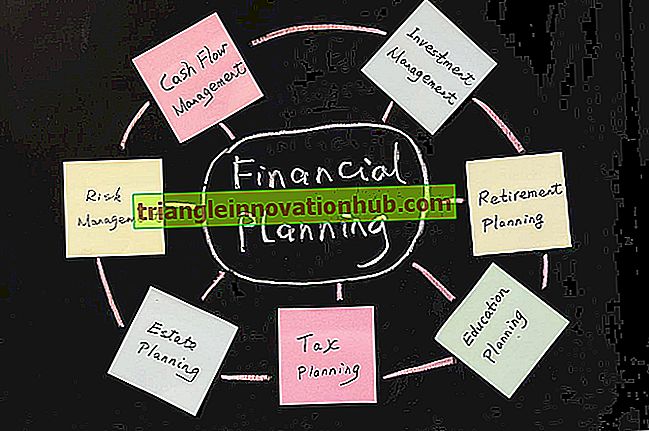 الخطة المالية: الأهداف والأهمية والقيود - شركة