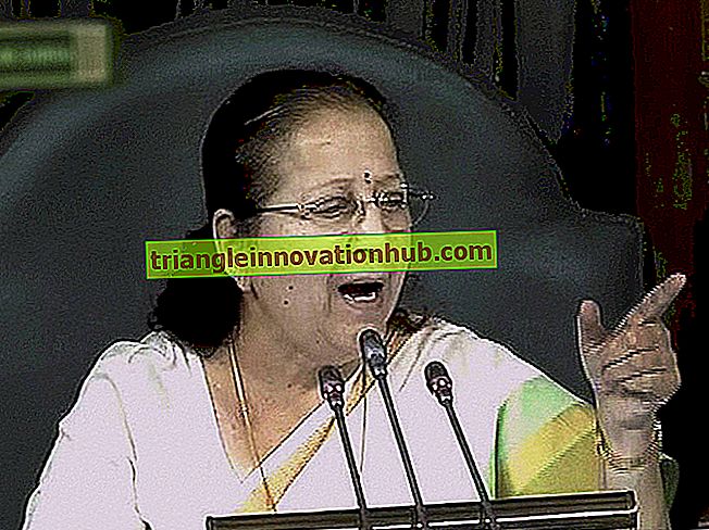 Speaker of the Lok Sabha: Funksjoner og posisjon av høyttaleren - grunnlov