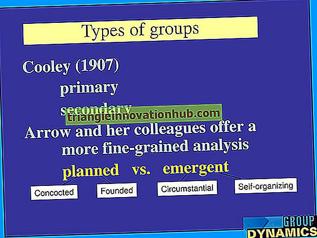 Gruppendynamik: Bedeutung und Typen - Verbraucherverhalten
