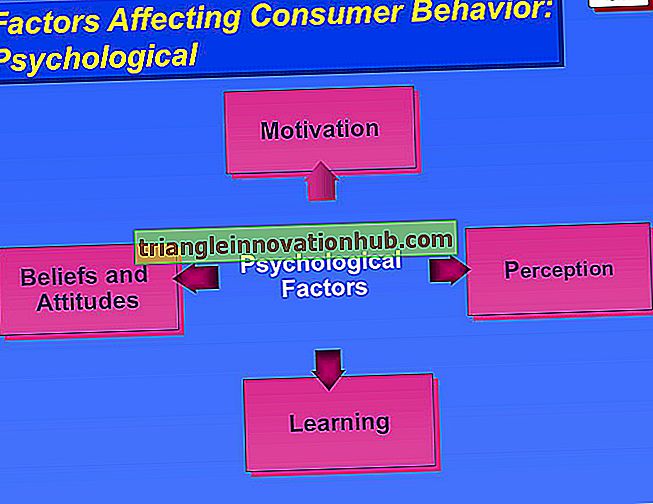 3 Externe Faktoren, die das Verhalten der Verbraucher beeinflussen - Verbraucher