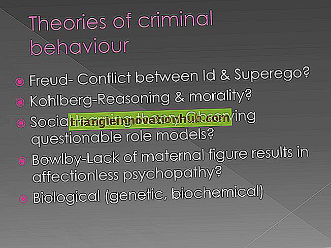 Explications théoriques du comportement criminel - crimes