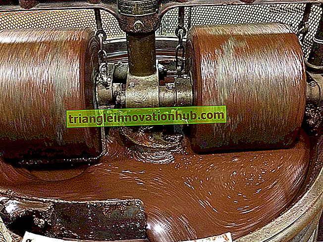Coltivazione e lavorazione del cacao (note utili) - coltivazione