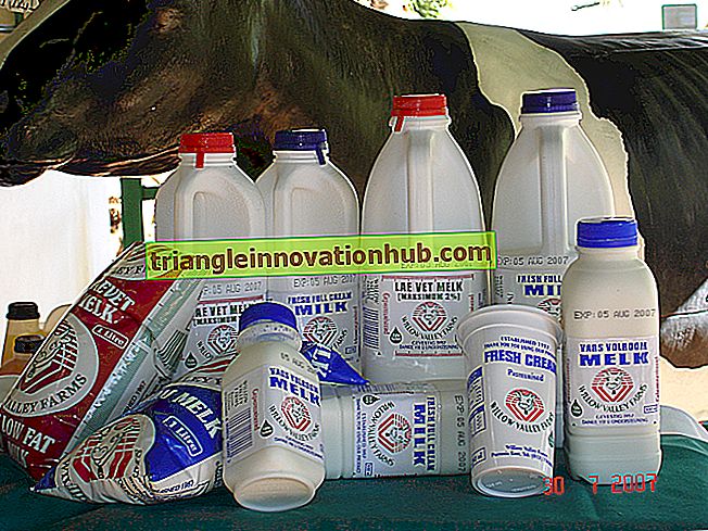 Sản phẩm sữa bản địa được sản xuất từ ​​sữa nguyên chất - quản lý trang trại bò sữa