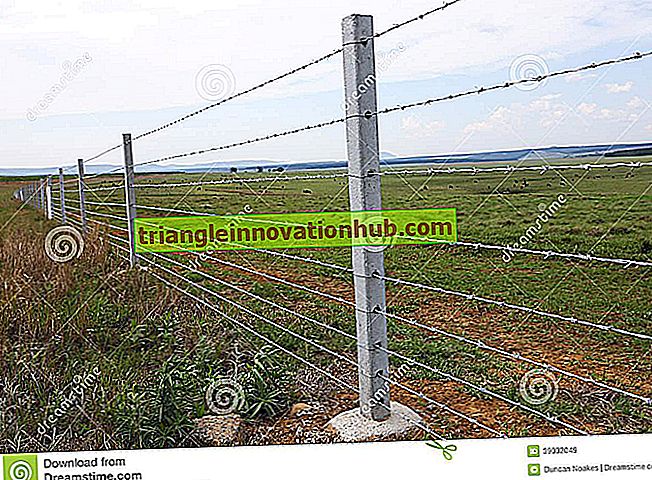 Détermination du coût des clôtures en fil de fer barbelé de la ferme - gestion de la ferme laitière