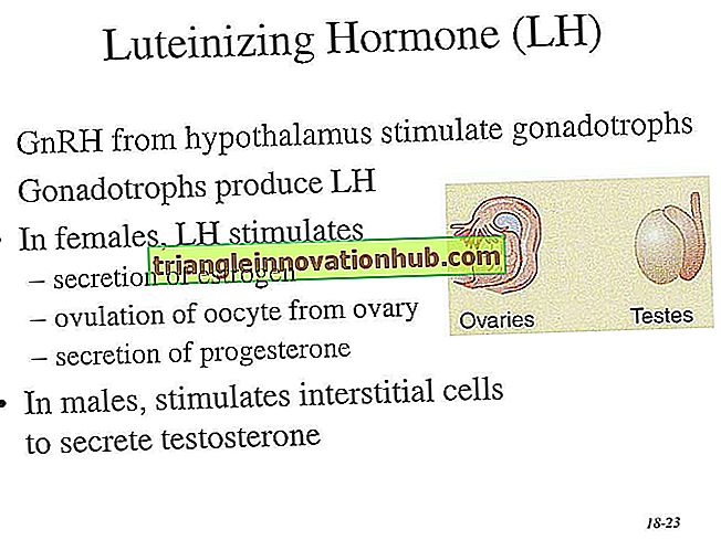 De rol van hormonen bij de lactatie - beheer van melkveebedrijven
