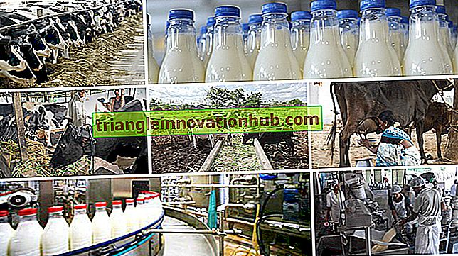 Zuivelindustrie: producten, distributie en factoren voor ontwikkeling - beheer van melkveebedrijven