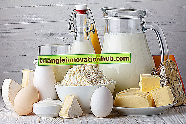 Hygienische Milchproduktion und Melkmethode - Milchviehbetrieb
