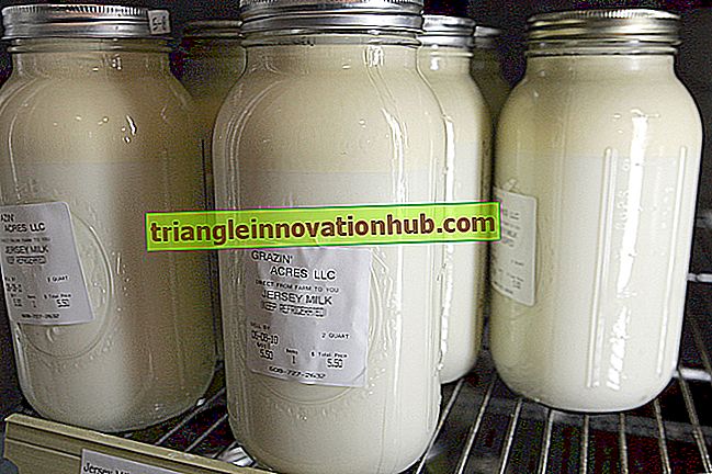 Milchverteilung: Verteilung von roher und pasteurisierter Milch - Milchviehbetrieb