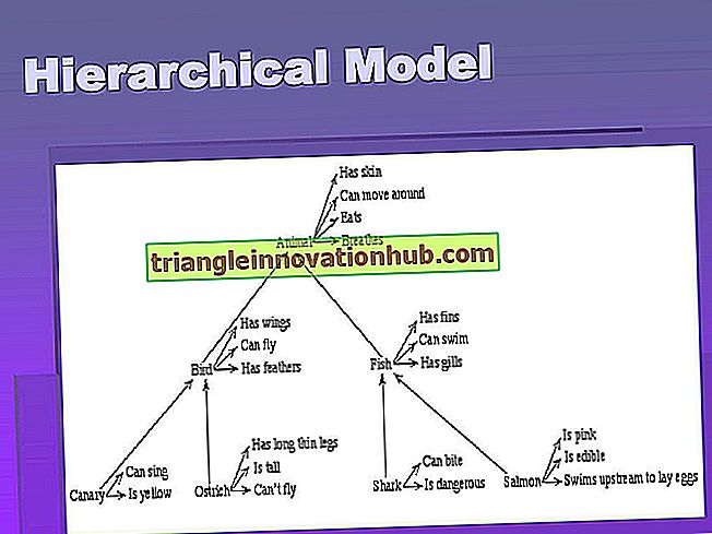 Duomenų bazės architektūros modeliai: hierarchiniai, tinklų ir reliaciniai modeliai - duomenų bazę
