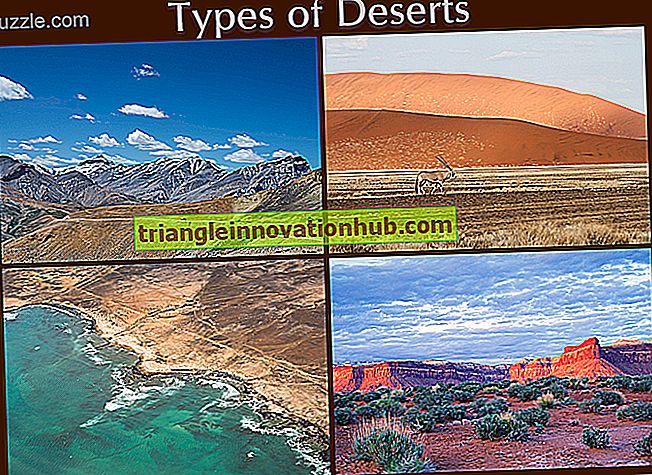 Desiertos: Definiciones y Clasificación de Desiertos - entorno desiertos