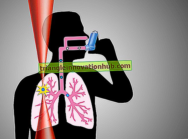 Inhalations-Drug-Delivery-Systeme bei Asthma bronchiale - Krankheit