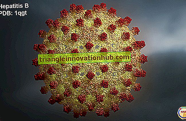 Behandlung von Hepatitis-B (HBV) - Krankheit
