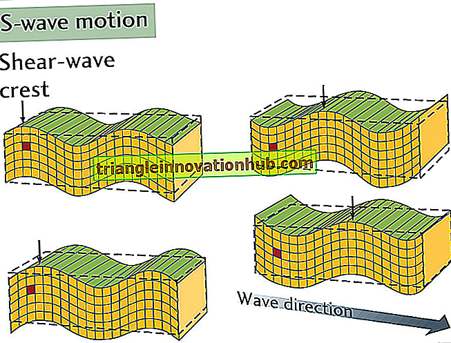 Seismiske bølger: Primær, sekundær og overflatebølger - jordskjelv
