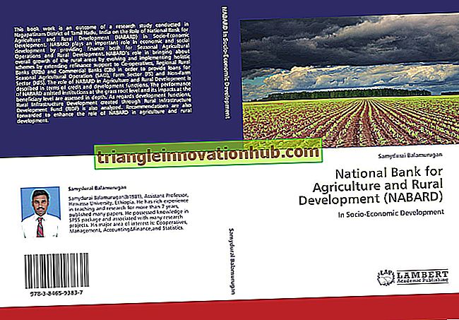 Nationalbank für Landwirtschaft und ländliche Entwicklung (NABARD) - Wirtschaft