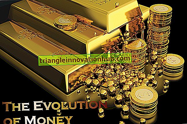 Evolutie van geld: essay over de evolutie van geld
