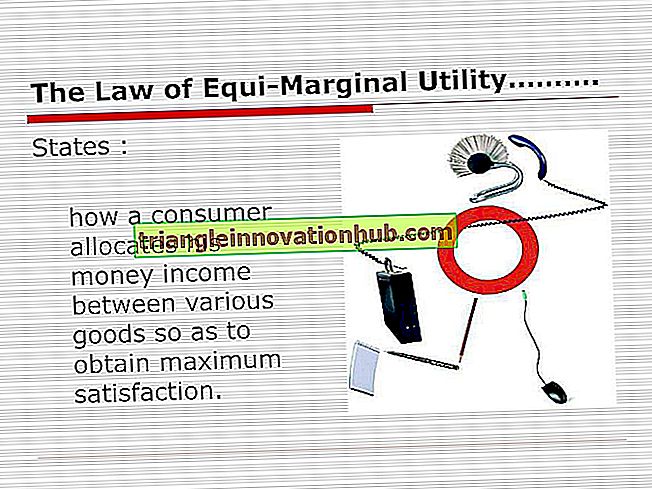 Principen för Equi-Marginal Utility