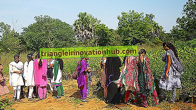 Mahatma Gandhi syn på landsbygdsregenerering - utbildning