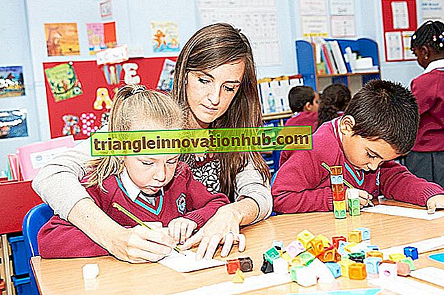 Læreruddannelsesprogrammer (5 typer) - uddannelse
