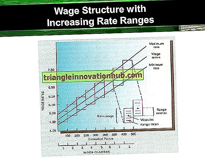 Darbo užmokesčio ir darbo užmokesčio struktūros nustatymas (su diagrama) - darbuotojų valdymas