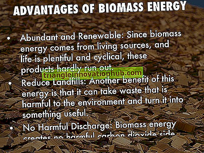 Biyokütle Enerjisinin Avantajı ve Dezavantajı - Açıklandı! - enerji