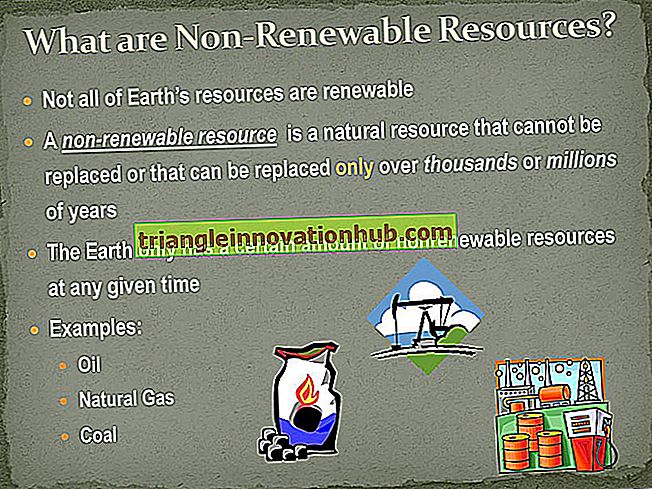 5 أهم مصادر الطاقة الطبيعية المتجددة