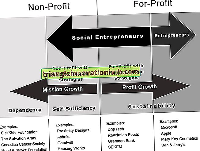 Soziales Unternehmertum: Was bedeutet soziales Unternehmertum? - Unternehmerin