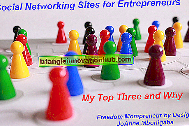 Vorteile von Social Networking für Unternehmer - Unternehmerin