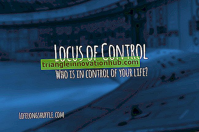 Locus of Control: Was meinen Sie mit Locus of Control? - Unternehmerin
