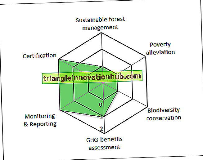 Nachhaltige Waldbewirtschaftung und Waldschutzmethoden