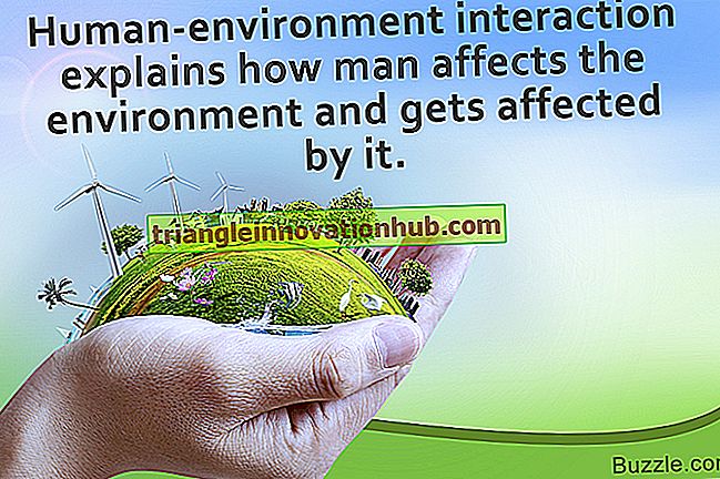 Bedeutung, Definition und Komponenten der Umwelt - Umgebung